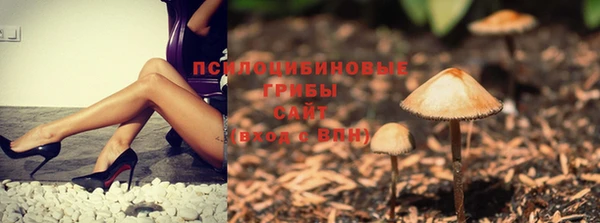 первитин Белокуриха
