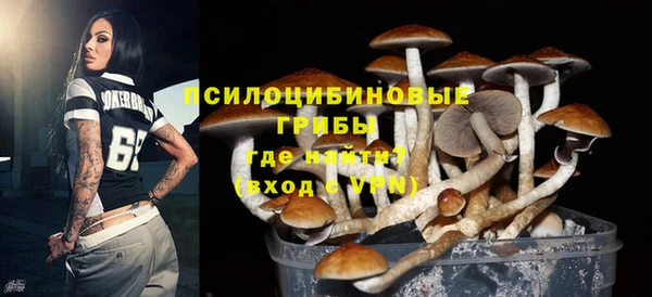 трава Беломорск
