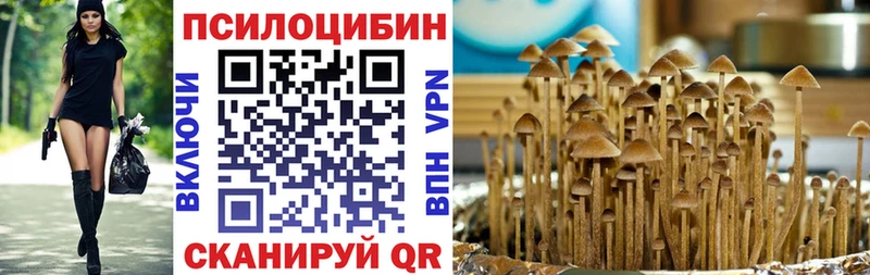 наркошоп Окуловка Галлюциногенные грибы MAGIC MUSHROOMS